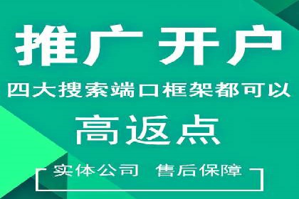 SEM广告投放优化案例研究